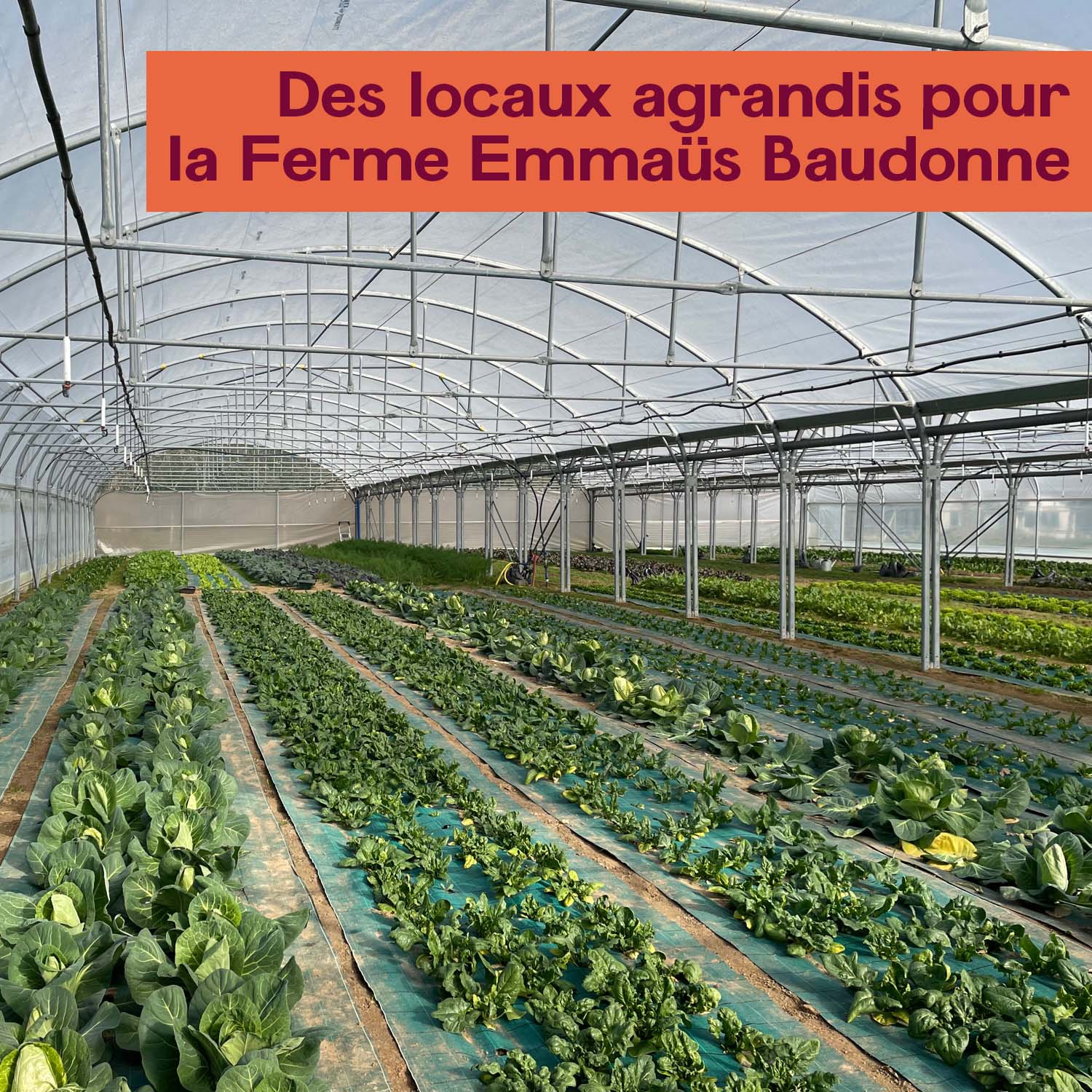 Des locaux agrandis pour la Ferme Emmaüs Baudonne !